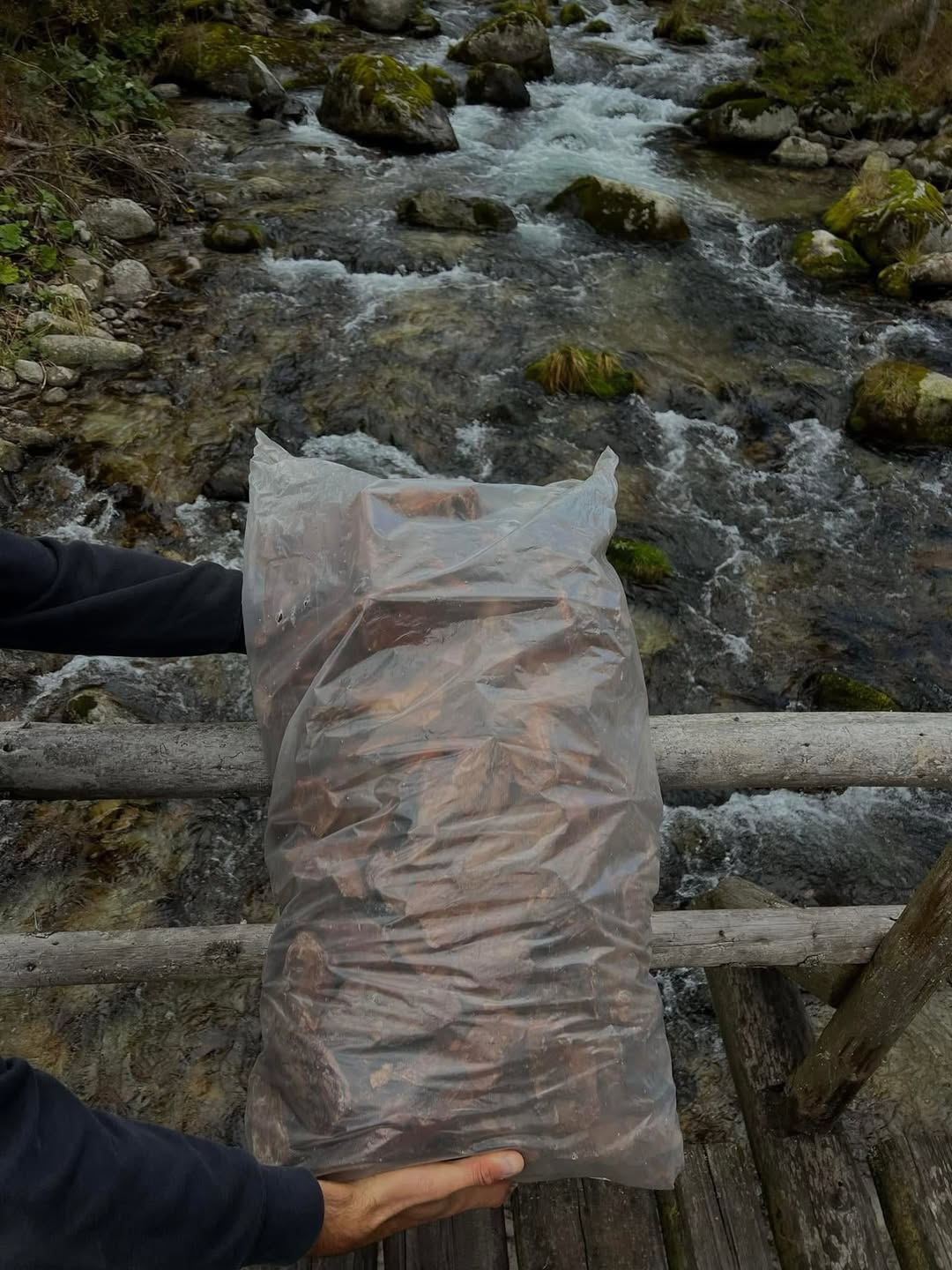 Pytle borové kůry 50L na europaletě